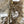 Duck CDC Natural 1/4 Ounce Pack Medium Dun Saddle Hackle, Hen Hackle, Asst. Feathers
