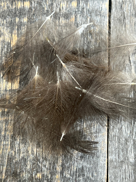 Duck CDC Natural TG Dark Dun Saddle Hackle, Hen Hackle, Asst. Feathers