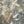 Duck CDC Natural TG Light Dun Saddle Hackle, Hen Hackle, Asst. Feathers