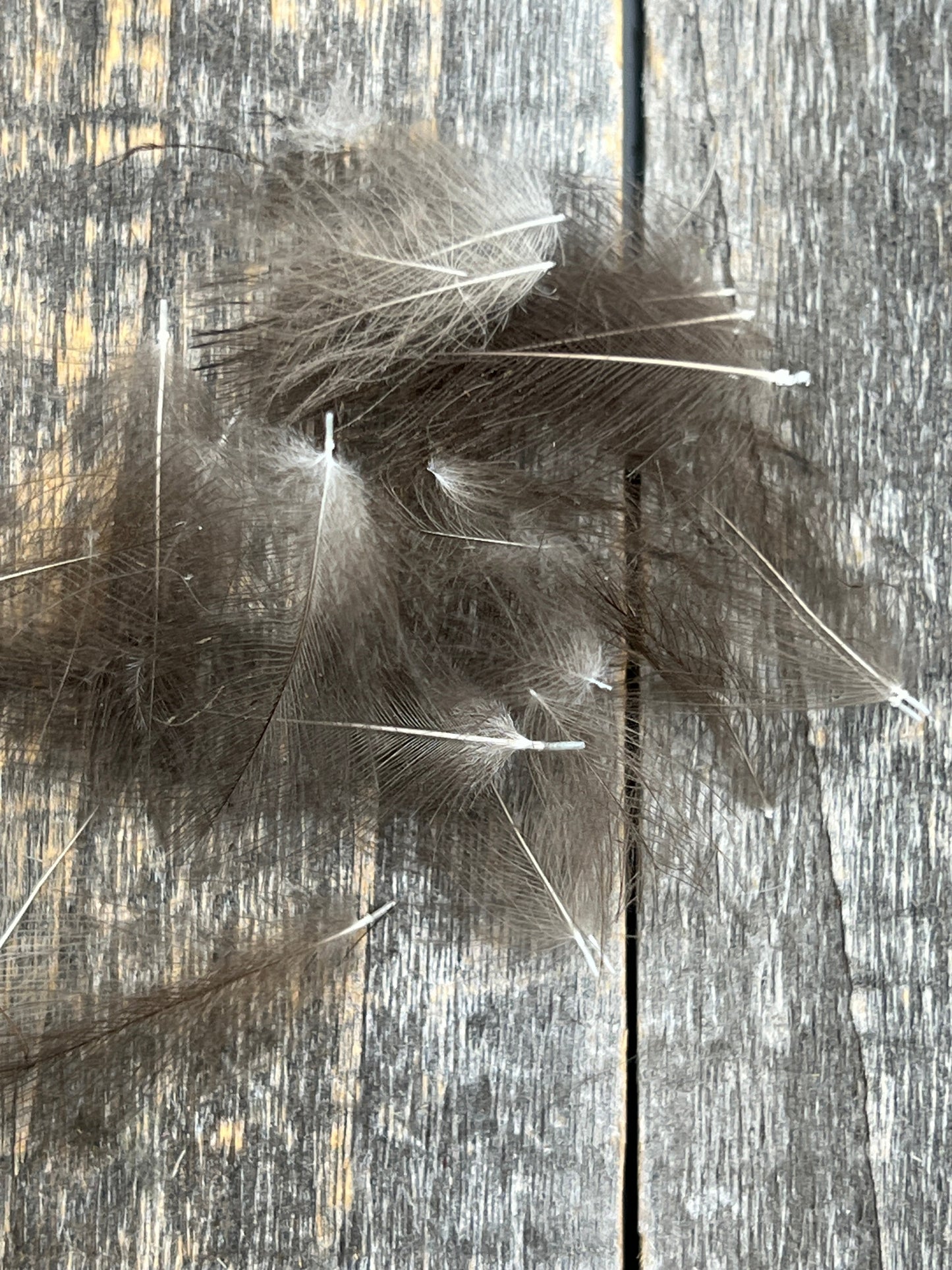 Duck CDC Natural TG Mallard Dun Saddle Hackle, Hen Hackle, Asst. Feathers