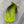 Dyed Bronze Mallard 4 Pairs Dyed Chartreuse Duck & Goose Feathers