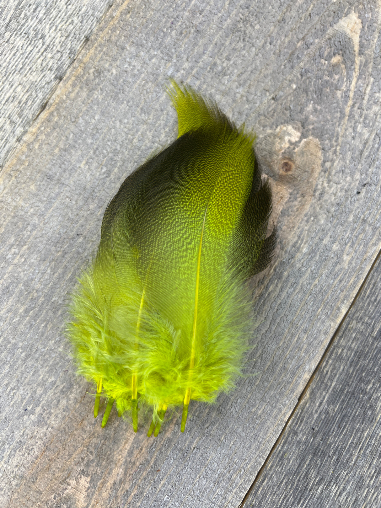 Dyed Bronze Mallard 4 Pairs Dyed Chartreuse Duck & Goose Feathers
