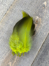 Dyed Bronze Mallard 4 Pairs Dyed Chartreuse Duck & Goose Feathers