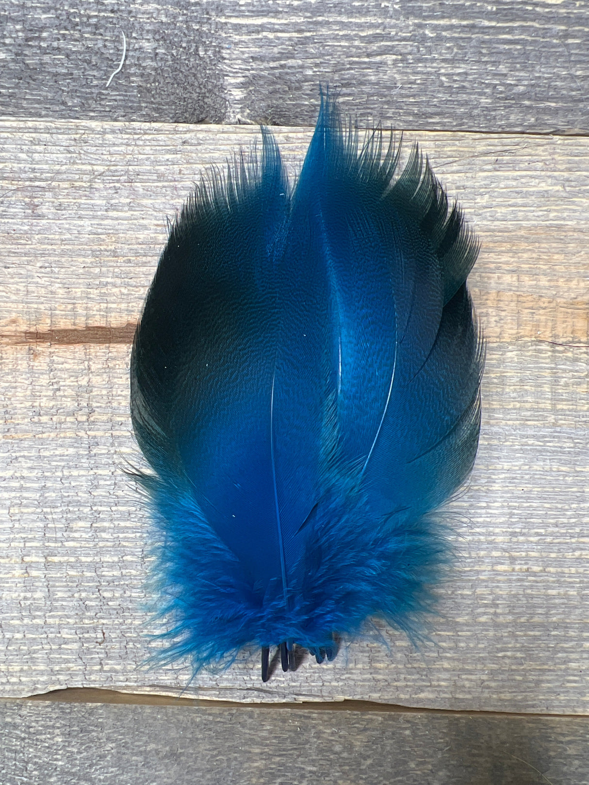 Dyed Bronze Mallard 4 Pairs Dyed Fl Blue Duck & Goose Feathers