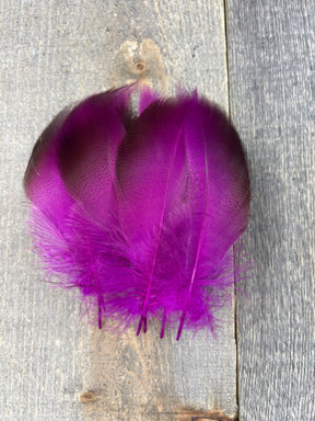 Dyed Bronze Mallard 4 Pairs Dyed Fuschia Duck & Goose Feathers