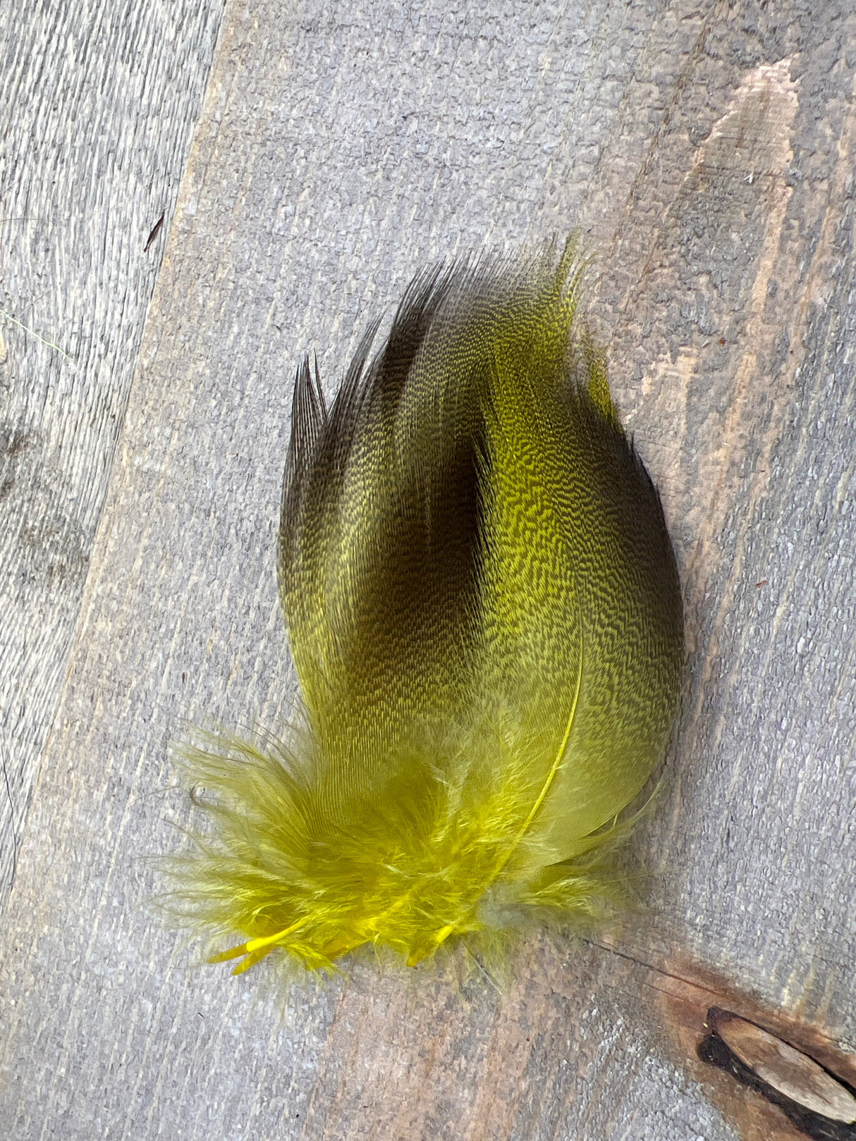 Dyed Bronze Mallard 4 Pairs Dyed Light Olive Duck & Goose Feathers