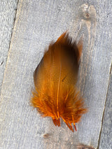 Dyed Bronze Mallard 4 Pairs Dyed Orange Duck & Goose Feathers
