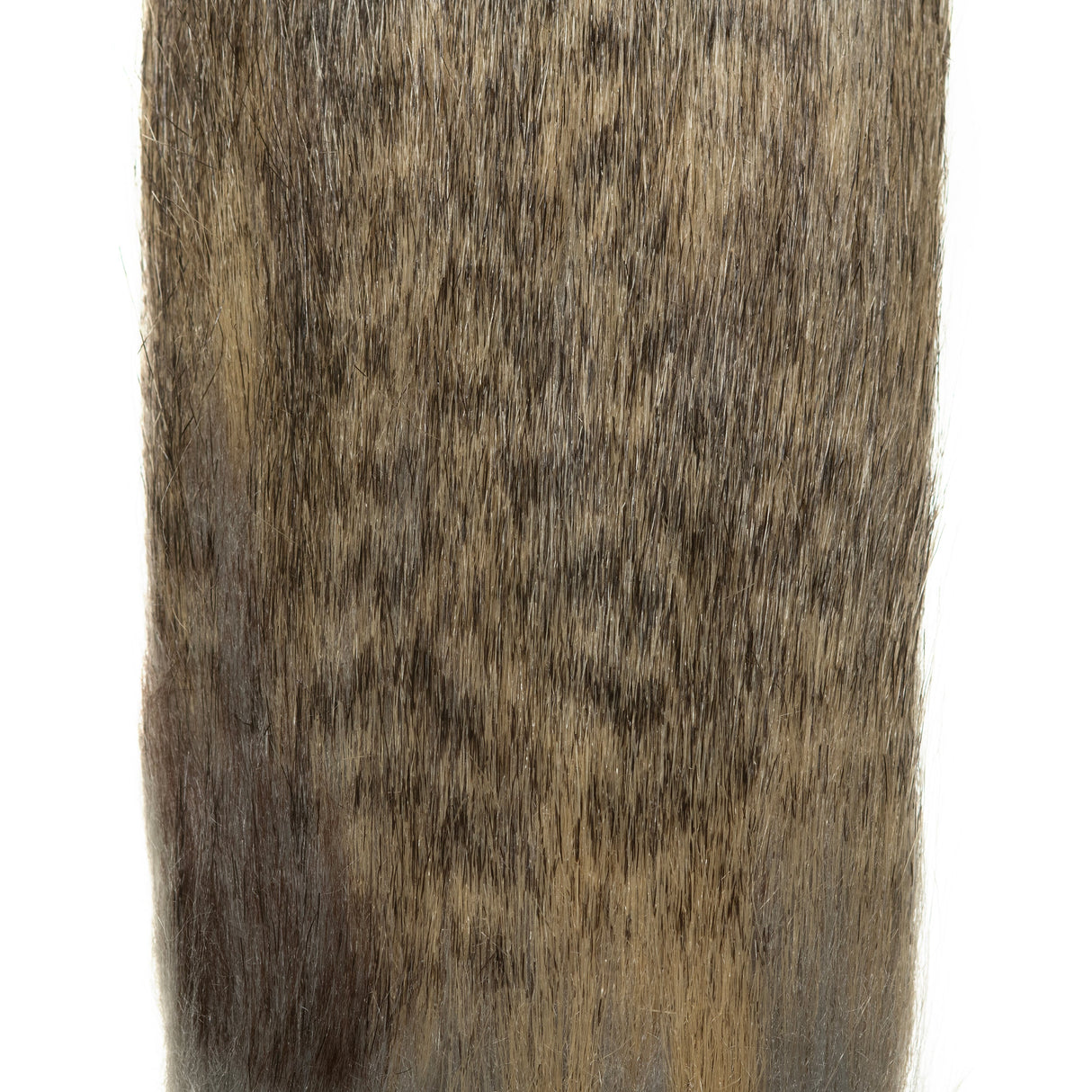 EP Animal Craft Fur Spotted Blue Wolf Hair, Fur