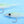EP Micro Minnow Chartreuse Flies