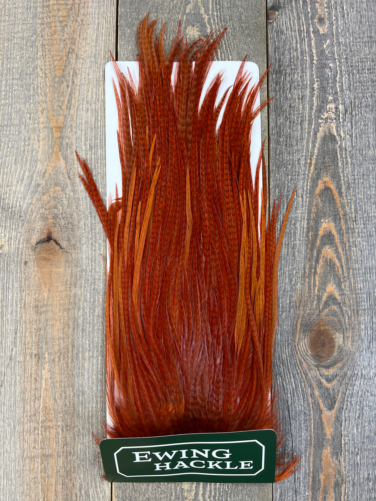 Ewing Bleached Ewing Saddles Cinnamon Streamer Feathers