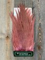 Ewing Bleached Ewing Saddles Light Pink Streamer Feathers