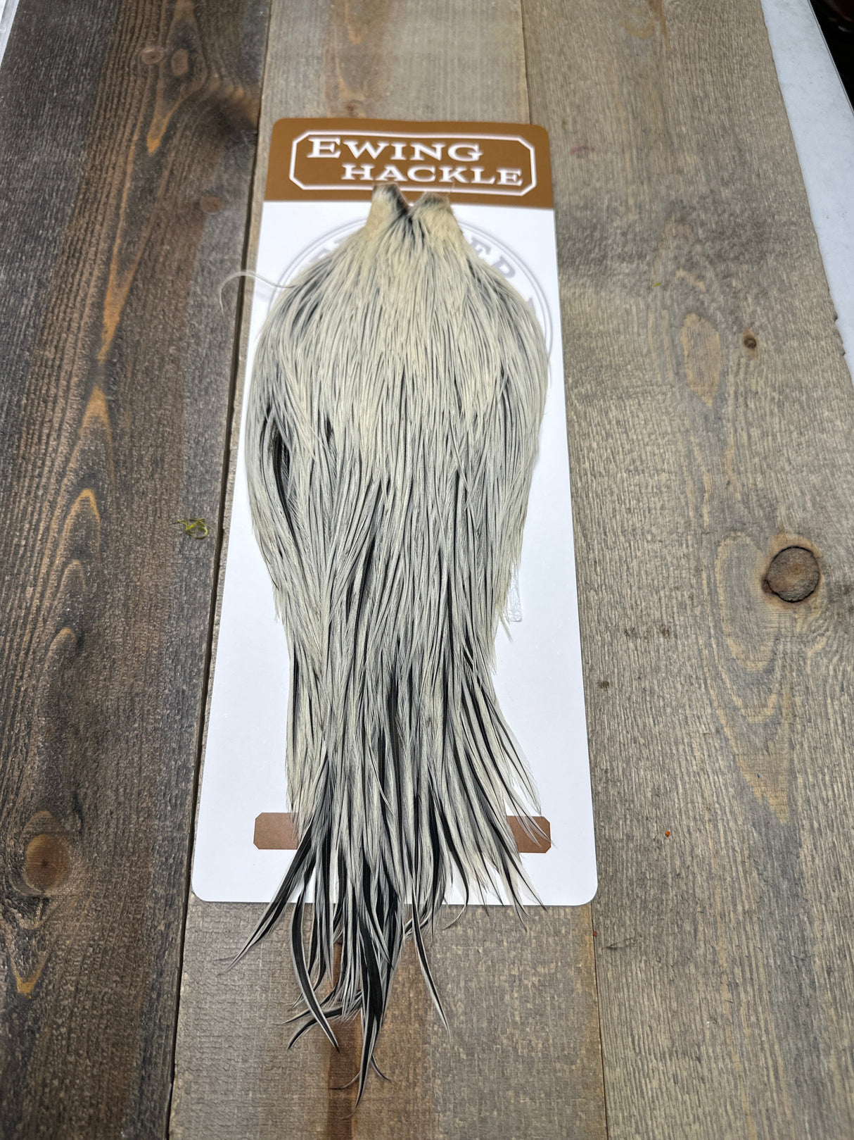 Ewing Dry Fly Cape Silver Badger Dry Fly Hackle