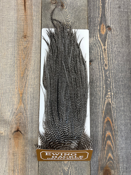 Ewing Dry Fly Saddle Grizzly Dry Fly Hackle