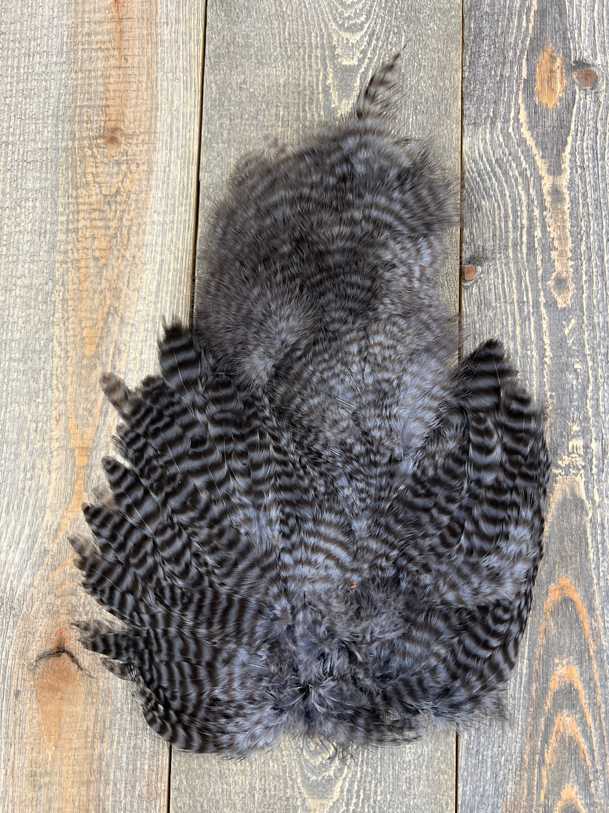Ewing Grizzly Chickabou Patch Gray Marabou