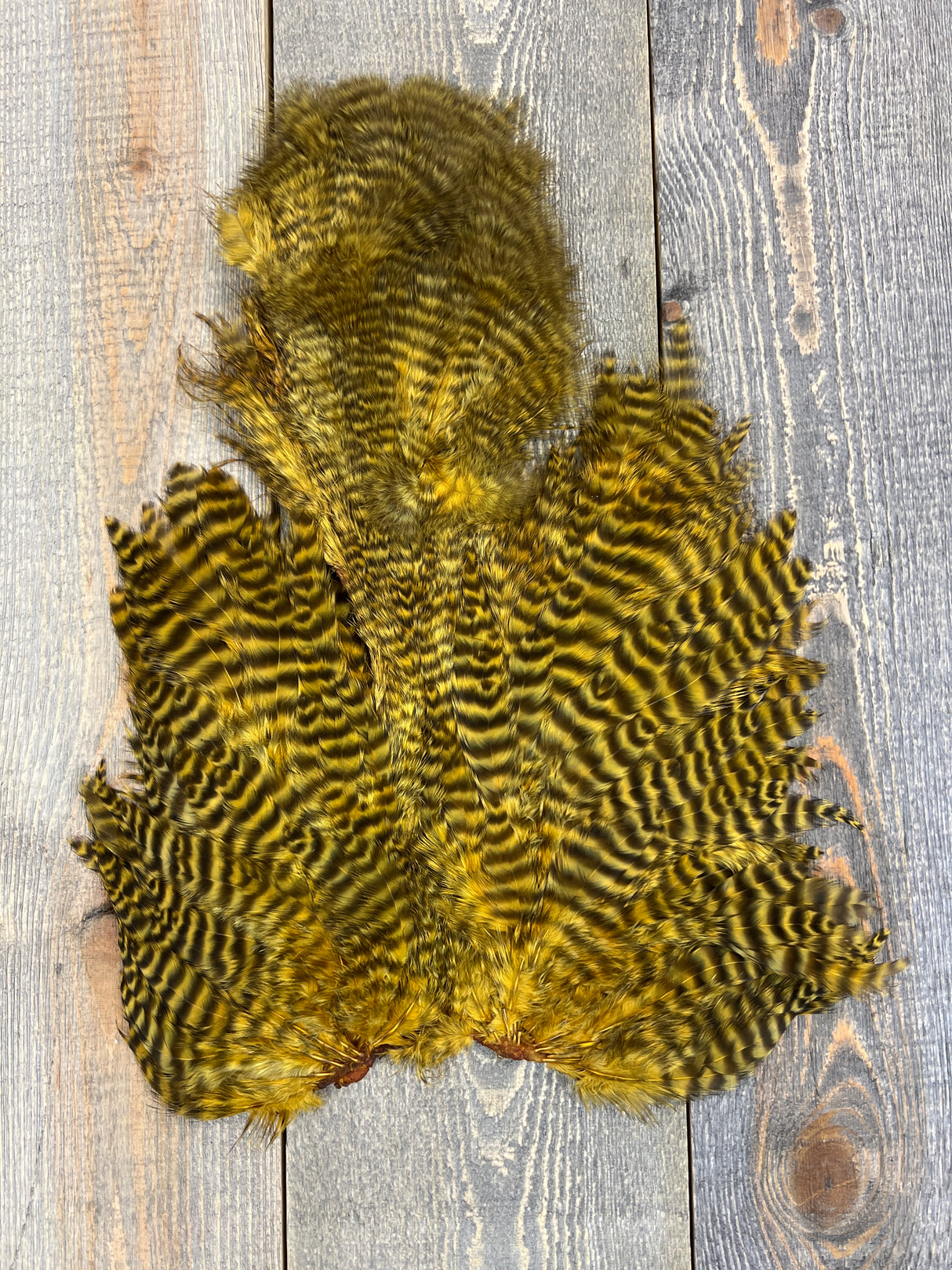 Ewing Grizzly Chickabou Patch Honey Marabou
