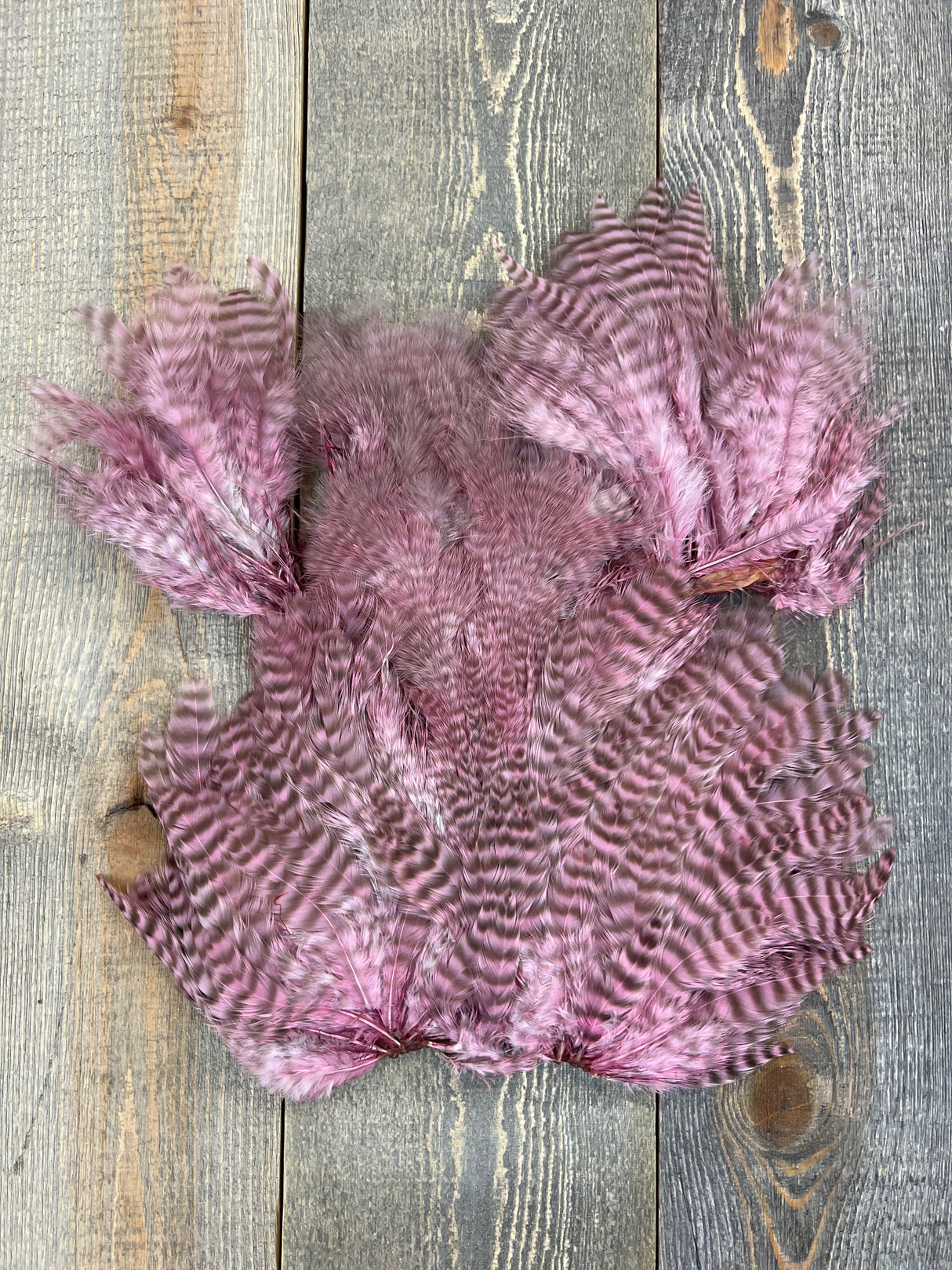 Ewing Grizzly Chickabou Patch Light Pink Marabou