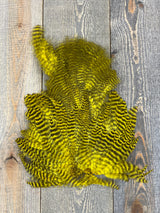Ewing Grizzly Chickabou Patch Yellow Marabou
