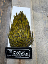 Ewing Grizzly Deceivers Golden Olive Streamer Feathers