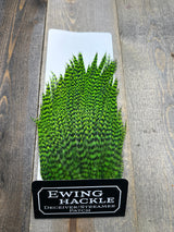 Ewing Grizzly Deceivers Green Chartruese Streamer Feathers