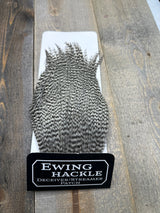 Ewing Grizzly Deceivers Grizzly Streamer Feathers