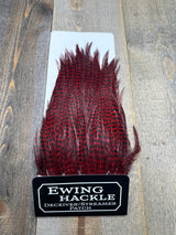 Ewing Grizzly Deceivers Red Streamer Feathers