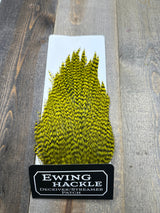 Ewing Grizzly Deceivers Yellow Streamer Feathers