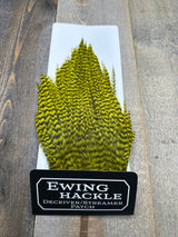 Ewing Grizzly Deceivers Yellow Chartruese Streamer Feathers