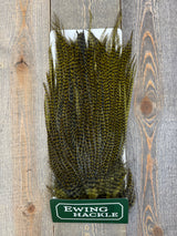 Ewing Grizzly Ewing Saddles Dark Olive Streamer Feathers