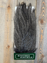 Ewing Grizzly Ewing Saddles Medium Blue Dun Streamer Feathers