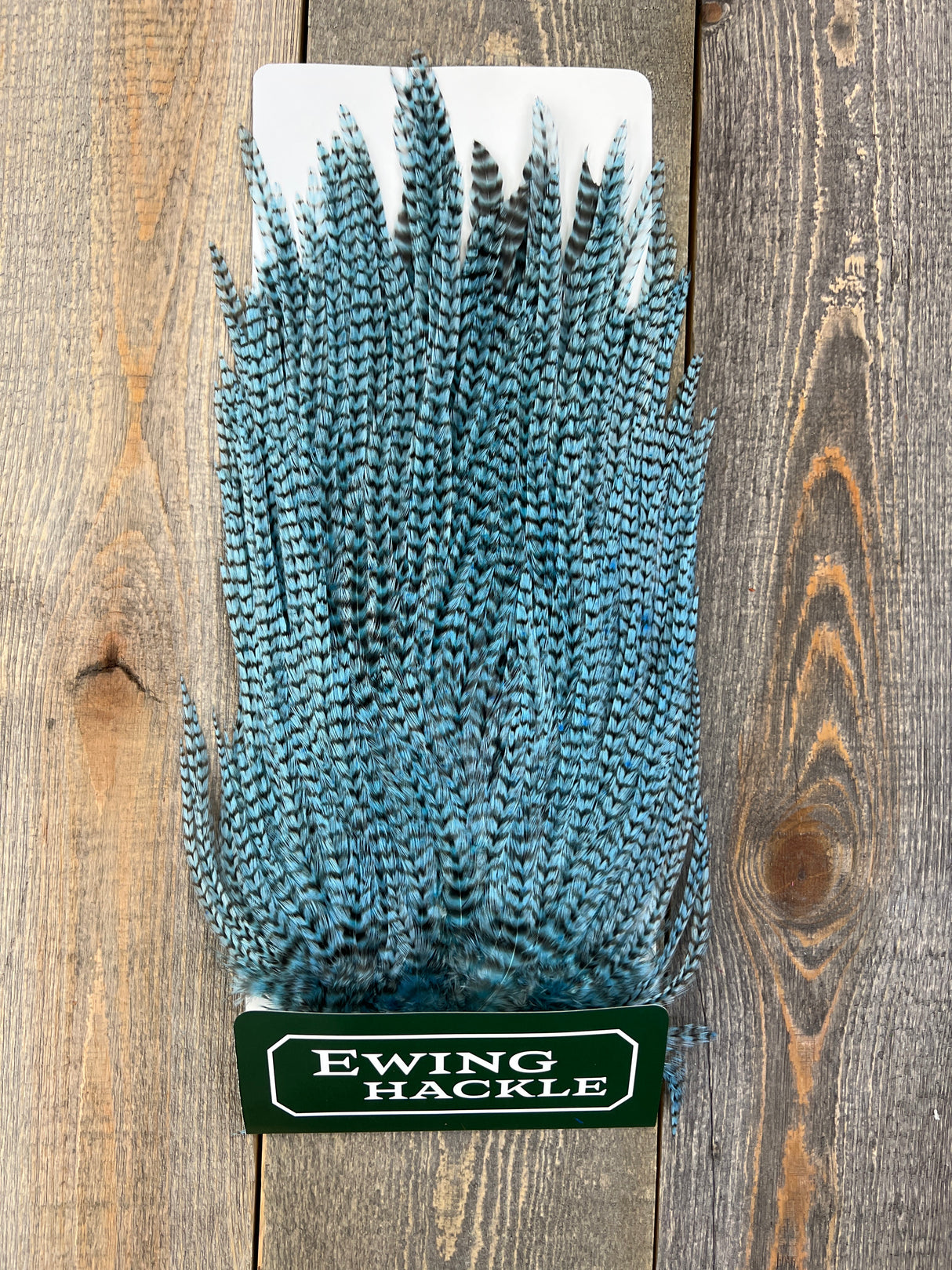 Ewing Grizzly Ewing Saddles Powder Blue Streamer Feathers