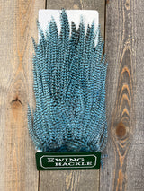 Ewing Grizzly Ewing Saddles Powder Blue Streamer Feathers