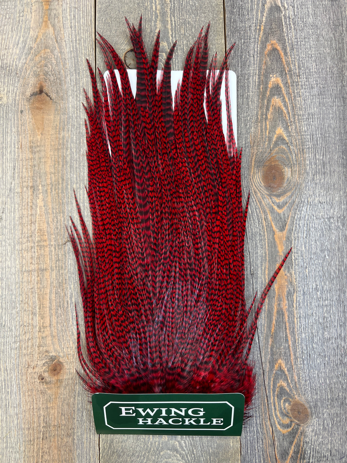 Ewing Grizzly Ewing Saddles Red Streamer Feathers