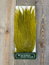 Ewing Grizzly Ewing Saddles Yellow Chartruese Streamer Feathers