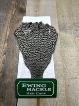 Ewing Grizzly Hen Cape Grizzly Hen Hackle