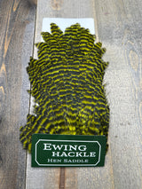 Ewing Grizzly Hen Saddle Green Chartruese Hen Hackle