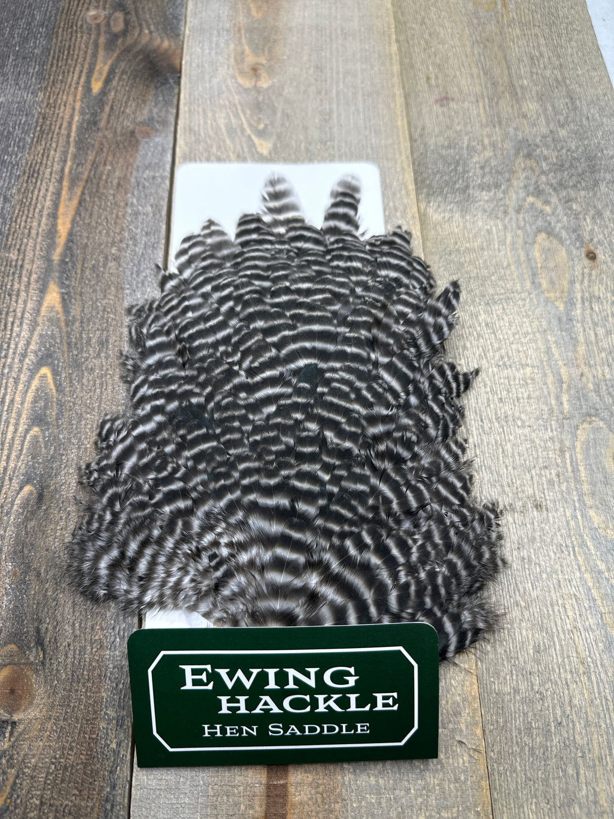 Ewing Grizzly Hen Saddle Grizzly Hen Hackle