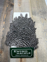 Ewing Grizzly Hen Saddle Grizzly Hen Hackle