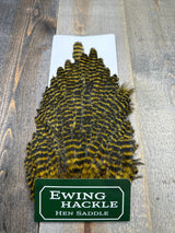 Ewing Grizzly Hen Saddle Honey Hen Hackle