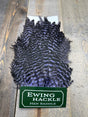 Ewing Grizzly Hen Saddle Lavender Hen Hackle