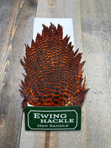 Ewing Grizzly Hen Saddle Orange Hen Hackle