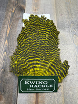 Ewing Grizzly Hen Saddle Yellow Hen Hackle