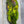 Fish Hunter Pheasabou Flanks FL. Chartreuse (UV)