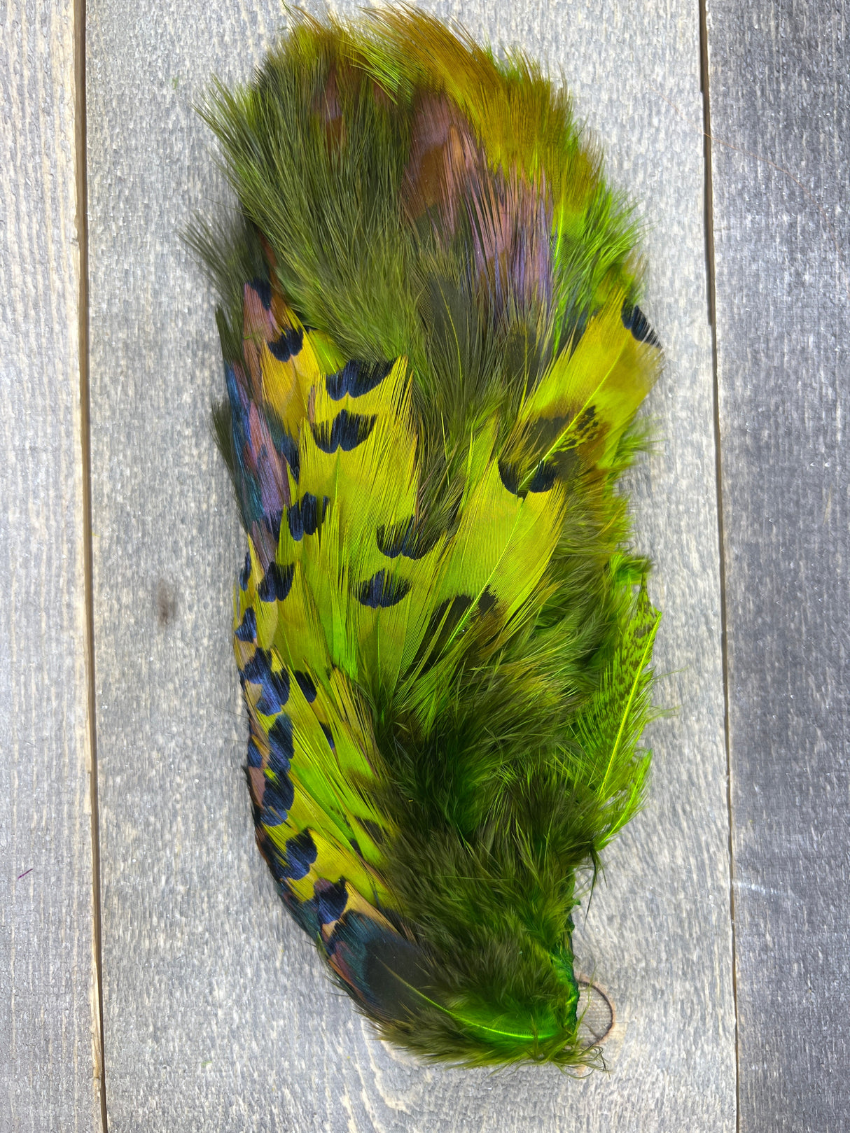 Fish Hunter Pheasabou Flanks FL. Chartreuse (UV)