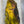 Fish Hunter Pheasabou Flanks Yellow