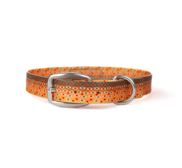 Fishpond Dog Collar- Trucha Dog Accessories