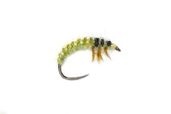 Fulling Mill OE Ryacophila Larv B/L Trout Flies