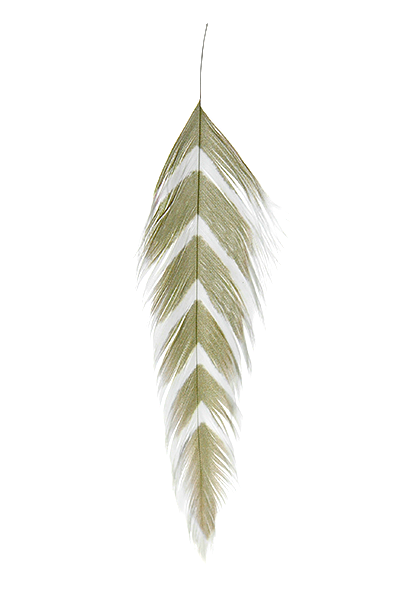 Galloup's Fish Feathers - Arrowhead White/Olive Saddle Hackle, Hen Hackle, Asst. Feathers