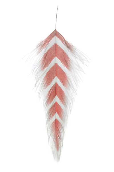 Galloup's Fish Feathers - Arrowhead White/Red Saddle Hackle, Hen Hackle, Asst. Feathers
