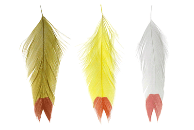 Galloup's Fish Feathers - Fin Tip Saddle Hackle, Hen Hackle, Asst. Feathers