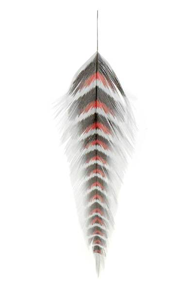 Galloup's Fish Feathers - Grizzled Saddle Hackle, Hen Hackle, Asst. Feathers